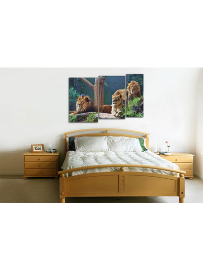 Модульная картина "Внимательные взгляды"