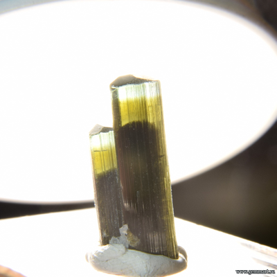 Турмалин полихромный. Пакистан. 21*11*8мм