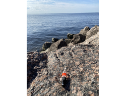 Духи НОТА: ЖЕНСКОЕ ВНИМАНИЕ, 2.5 мл