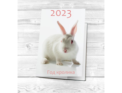 Обложка на паспорт год Кролика №10