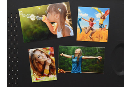 Магниты виниловые