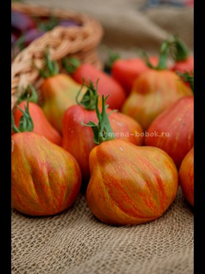 Томат Borsa di Montone (Баранья сумка), 10 шт.