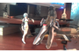 25e0156e71b7f9d7415c10060b5d82c5462360bf.png