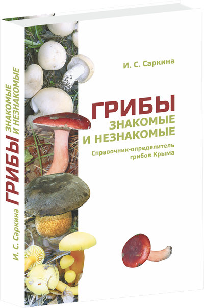 Грибы знакомые и незнакомые