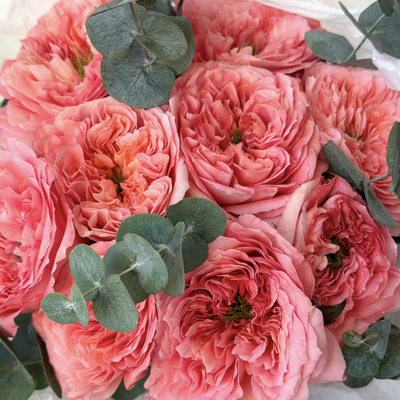 Букет из 9 роз Mandarin X-pression