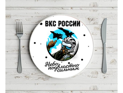 Тарелка на 23 февраля №33