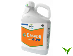 Бакара Форте КС 5 л