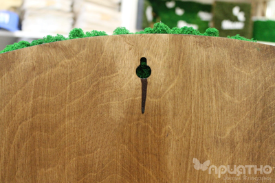 ЖИВАЯ ЭКО-КАРТИНА 1007 (100х75см )