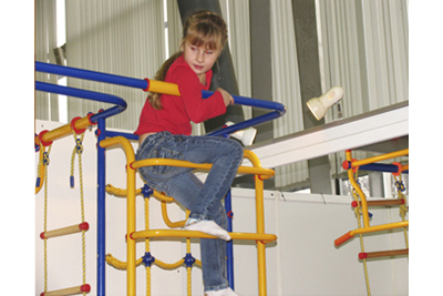 ДСК Модель "Зодиак" (крепление к стене) Веселый непоседа - вид сверху