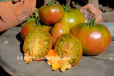 Томат Медная река (Copper River/Купер Ривер), 10 шт.