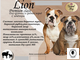 Гранд Дог корм для собак Grand Dog Lion Premium class для средних и крупных пород с ягненком 10кг