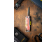 Leatherman Signal Guava
