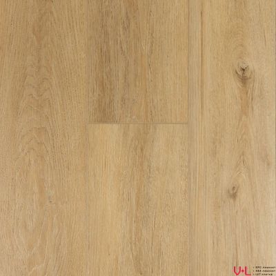 SPC ламинат First Floor Сканди Дуб Чайный 1F019