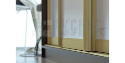 Шкаф-купе Ариадна 022