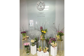 Оформление коридоров к 8 марта в бизнес центрах