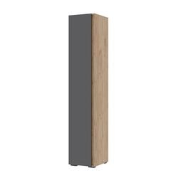 Хелен ПН 01 Пенал со штангой 400х2100х465 Дуб крафт золотой/графит