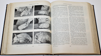Кулинария. Главный редактор М.О.Лифшиц. М.: Госторгиздат, 1955.