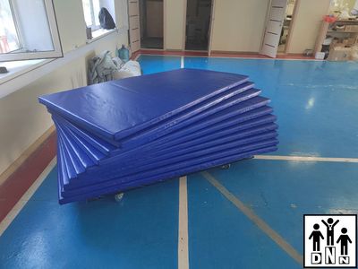 Мат гимнастический 1х2 тент, НПЭ 100-120кг/м3 толщина 5см 1ШТ. DNN