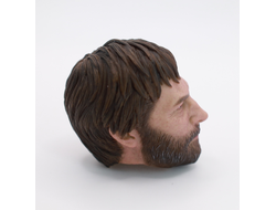 Скульпт 1/6 (78095) - DAMTOYS