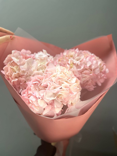 Классический букет из 3 розовых гортензий