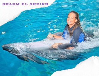 DOLPHINARIUM - SWIMMING WITH DOLPHINS (15 or 30 MIN)