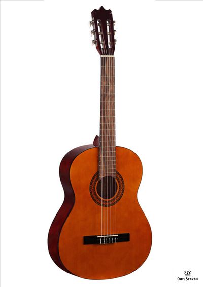 Фото гитары MARTINEZ  FAC - 503