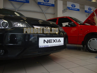 Защита радиатора Daewoo Nexia 2010- black