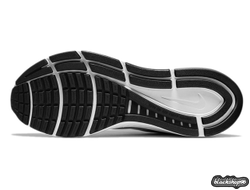 Nike Air Zoom Structure 23 Black (40-45)