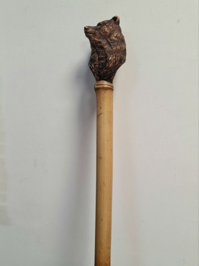 Бурый медведь