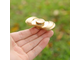Спиннер "Swing Gold"