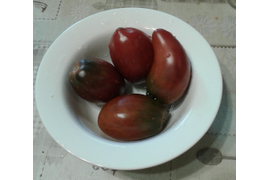 Альмандин,  томат Гном