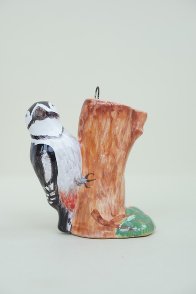 Дятел -  Птицы России