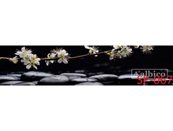 SP-067 ВЕСЕННЯЯ ВЕТКА ЧЕРНЫЕ КАМНИ ГЛЯНЦЕВАЯ стеновая панель ALBICO  2800*610*6мм