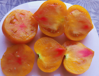 Томат Радужный сердцевидный джаз (Rainbow jazz heart)