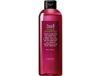 Многофункциональный шампунь THEO SCALP SHAMPOO