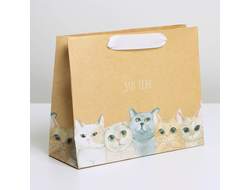 Пакет "Это тебе" 22х17,5х8см