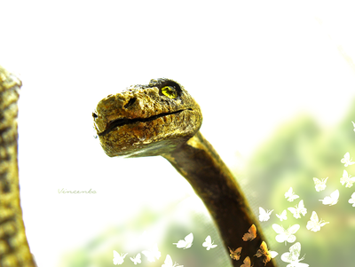 Золотая змейка. Браслет в виде змеи из полимерной глины