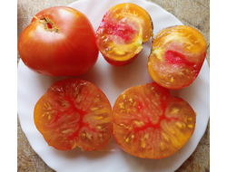 Томат Чупа-чупс (Chupa-Chups)