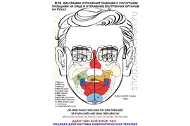 ОПОРНО-ДВИГАТЕЛЬНЫЙ АППАРАТ