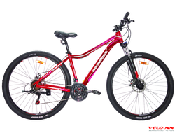 Велосипед Nameless J9500DW 29" фиолетовый