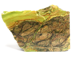 Офиокальцит, срез с одной стороны, Россия, Урал (156*112*44 мм, 896 г) №35779