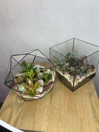 Флорариум, размер L