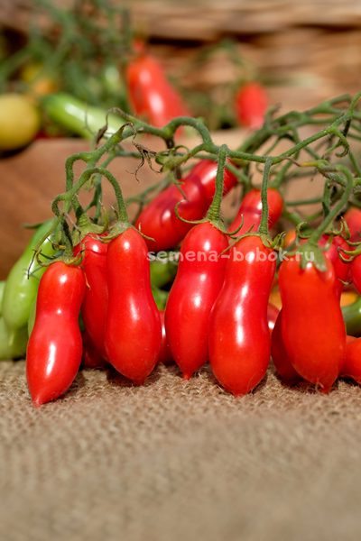 Томат Pelino 2014 (Пелино 2014), 7 шт