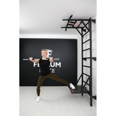 Шведская стенка Ferrum Force FR7 купить в Воронеже