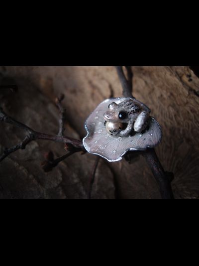 &quot;Бархатная весна&quot;, необычное арт-нуво кольцо с лягушкой и жемчужиной