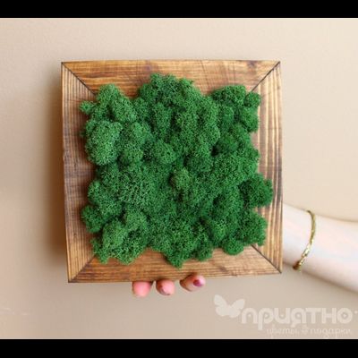 Живая Эко-Картина 1069