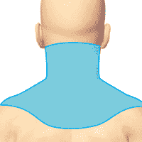 Шейно-воротниковая зона. ДЭНАС ПКМ [НЕЙРОДЭНС] 