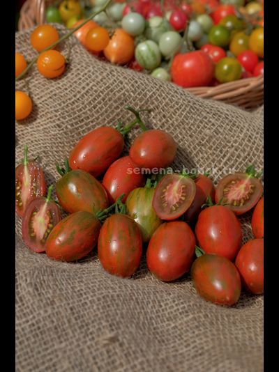Томат Dwarf Audrey’s Love Tomato (Гном Любовь Одри), 10 шт