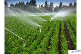 Дождевание.Брс1