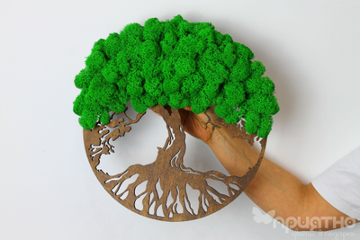 ЖИВАЯ ЭКО-КАРТИНА 1025